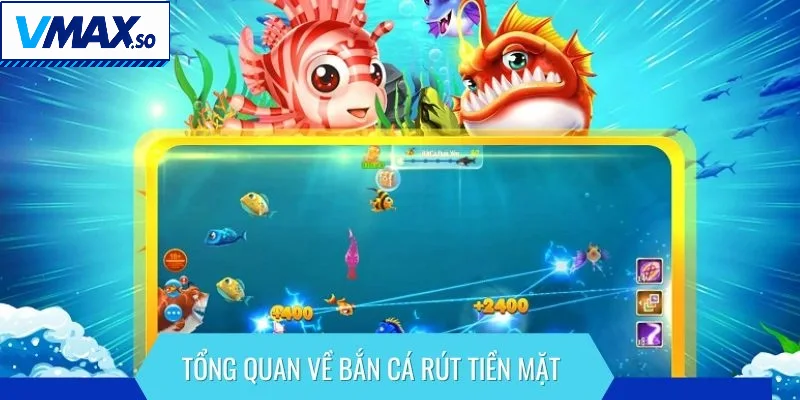 Khái quát sơ lược về hình thức săn sinh vật nhận tiền