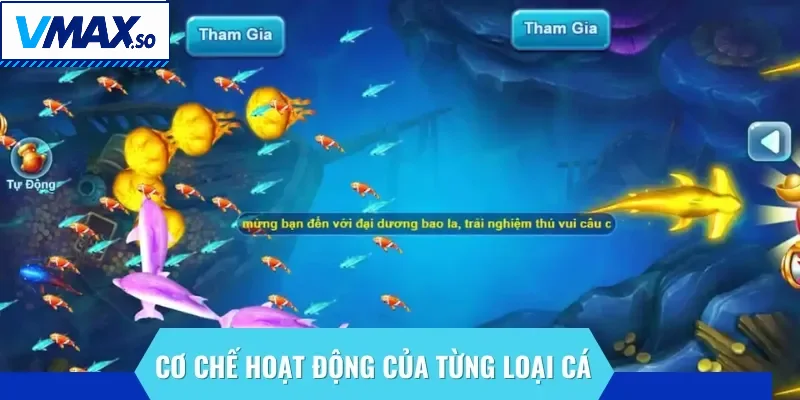 Cần hiểu rõ cơ chế hoạt động của các loại cá để có chiến lược thích hợp