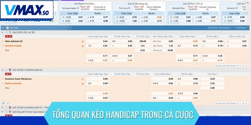 Tổng quan kèo handicap trong cá cược