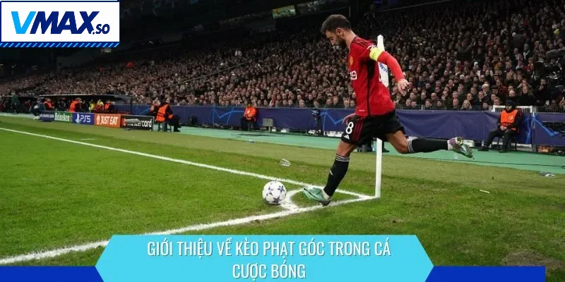 Giới thiệu về kèo phạt góc trong cá cược bóng