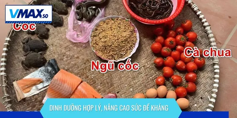 Dinh dưỡng hợp lý là cực kỳ cần thiết trong việc phòng bệnh cho gà chọi