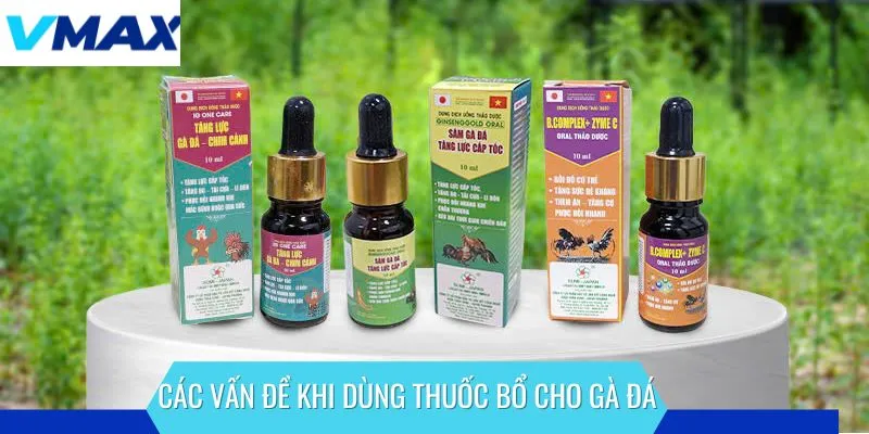 Một số vấn đề khi dùng thuốc bổ cho gà đá