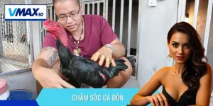 chăm sóc gà đòn